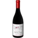 1-garrafa-mg-xxi-tinto-2022